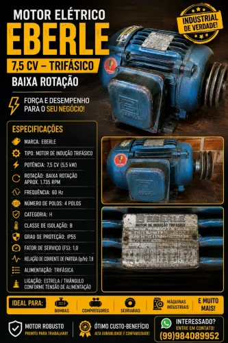 Motor trifasico