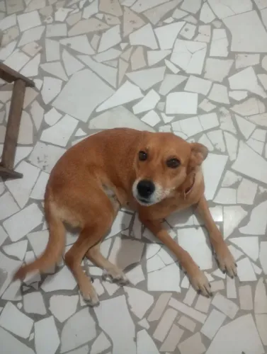 Doação de ?