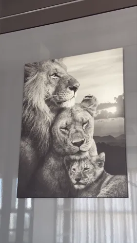 Quadro Leão