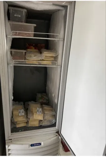 Freezer vertical congelar 