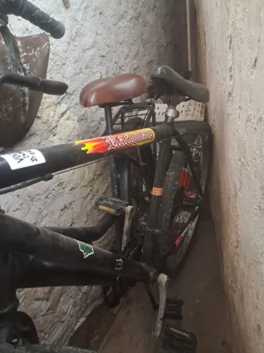 Bicicleta