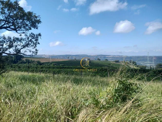 Fazenda de café à venda com 194,54 hectares, com Produção mecanizada em Franca SP.