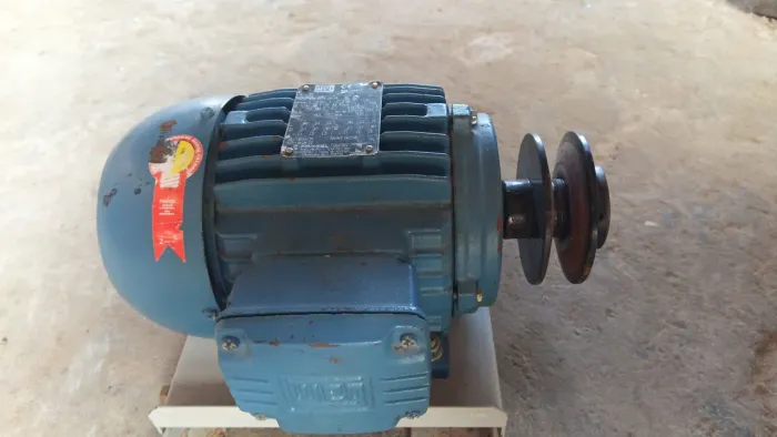 Motor trifásico