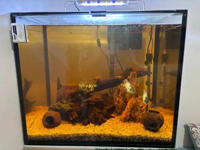 Aquário 120L