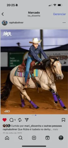 Égua crioula com registro a venda