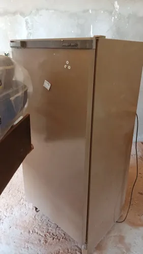 Geladeira 110