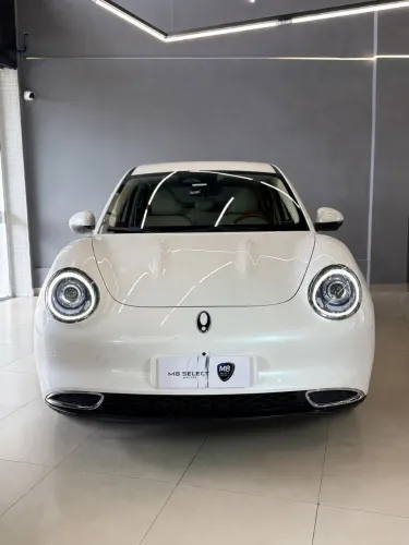 GWM Ora 03 Skin (elétrico) 2024