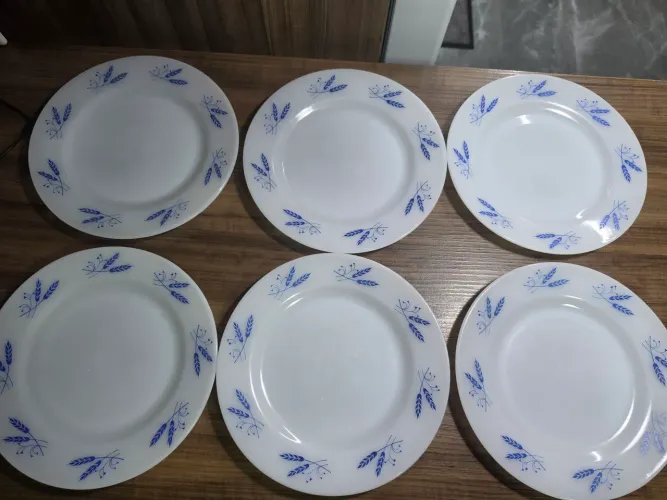 6 pratos rasos Colorex Triguinho azul
