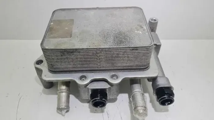 Trocador Do Calor Oleo Dodge Ram 1500 Rebel Hemi 5.7 V8 2022