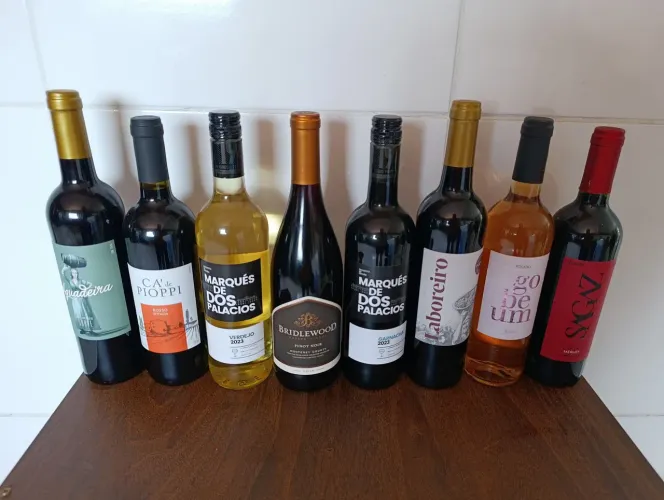 KIT ESPECIAL COM 14 VINHOS APENAS R$149,99