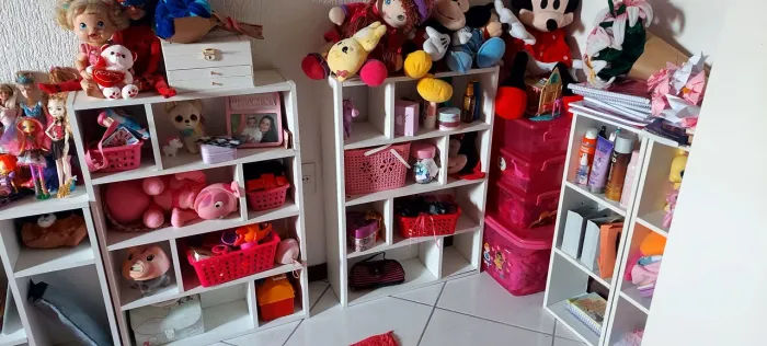 Nichos prateleiras e brinquedos diversos