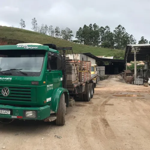 Caminhão Vw 18310  carroceria trucado