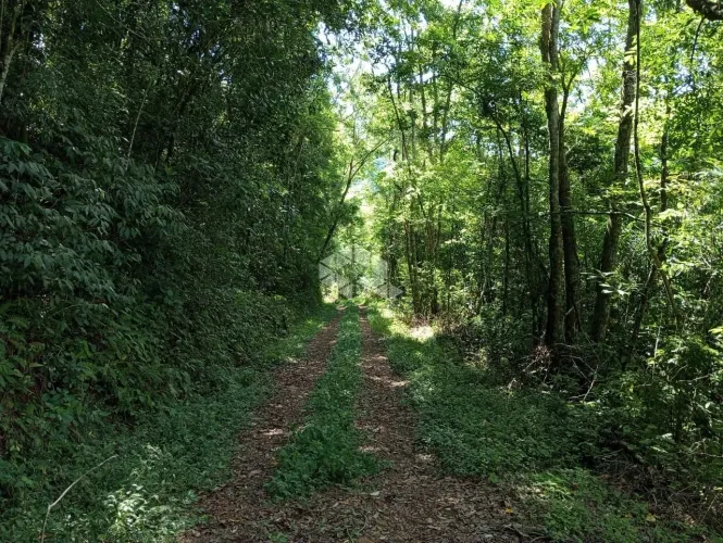 Chácara de 3,6 ha para venda em Nova Petrópolis