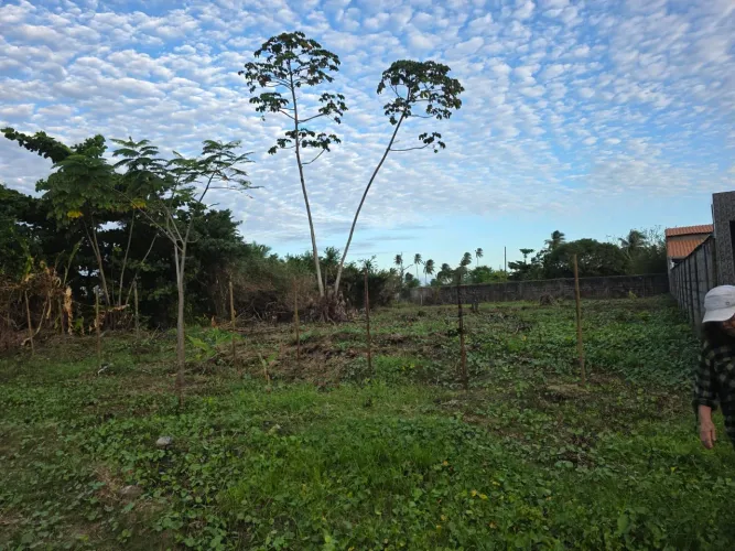 Oportunidade Única em Barra do Gil: Terreno de 608 m² Pertinho da Praia!