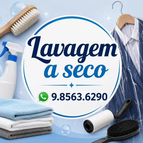 Lavagem A seco
