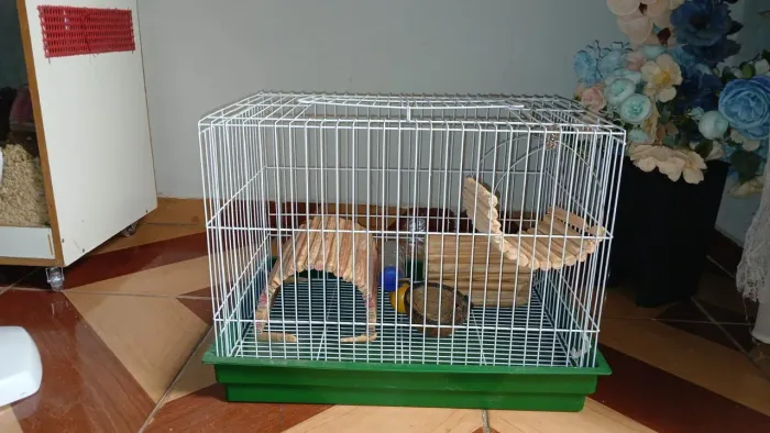 Gaiola Roedores