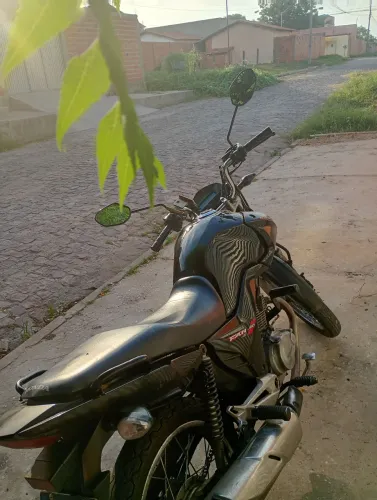 Fan 150 ano 2013/2014