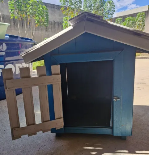 Casinha de cachorro porte médio.
