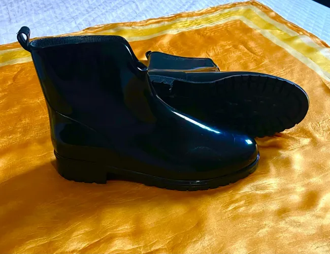 Botas