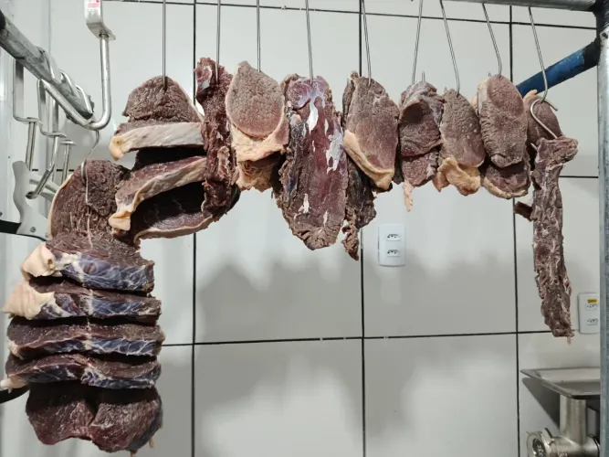 Carne de sol de qualidade 