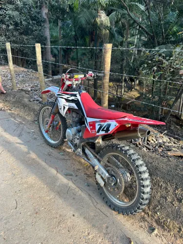 Crf 230 2019