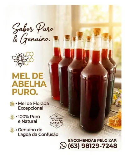Vendo mel de abelha puro.