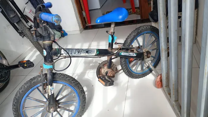 Bicicleta infantil menino