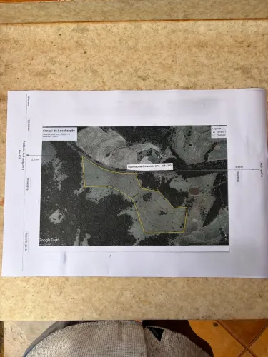 Área Rural de 41,20 hectares à venda Buritizal -SP