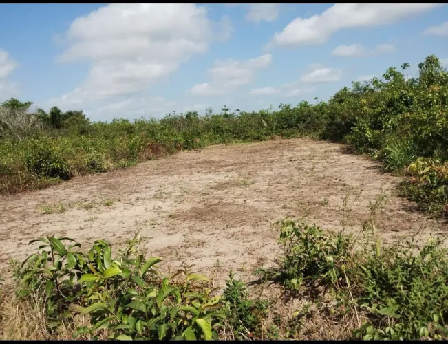 Terreno em Marapanim/Abacate