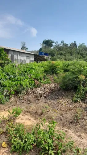 Comunidade água azul 120 km de santarem