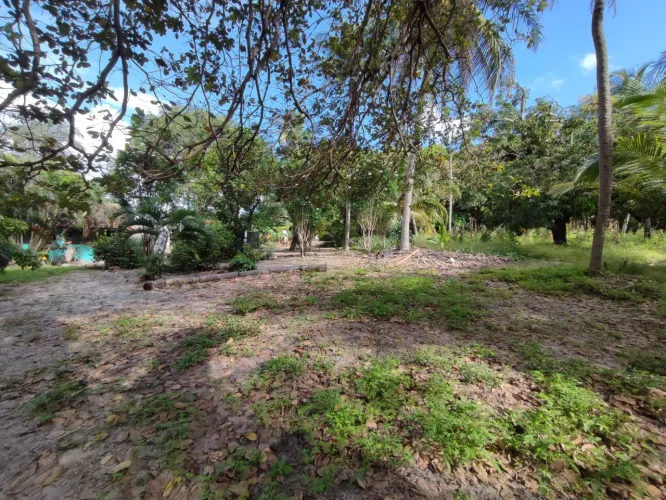 Terreno pronto para construir à venda com 55.146 mts no centro do Trairi- Ceará