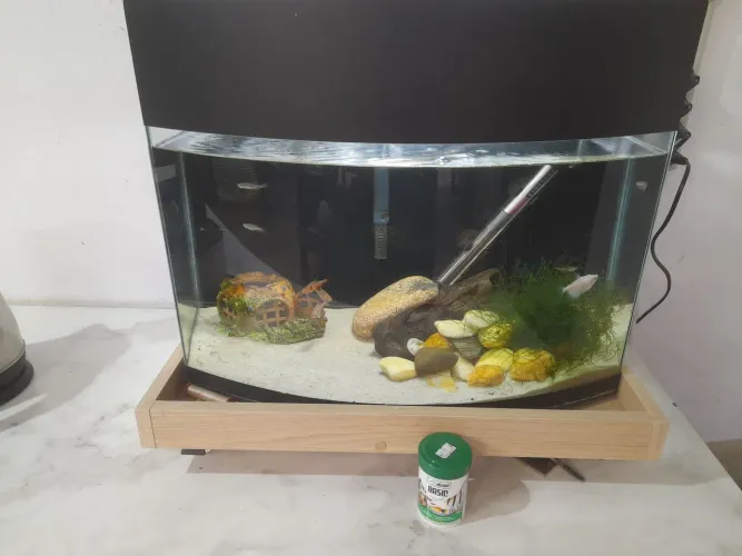 Aquario 80 litros