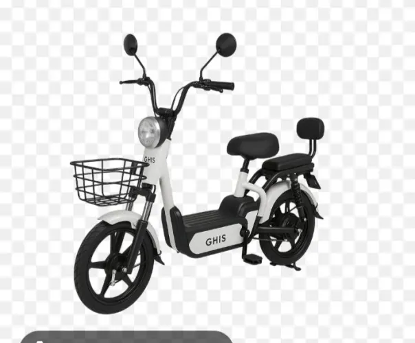 Bicicleta elétrica
