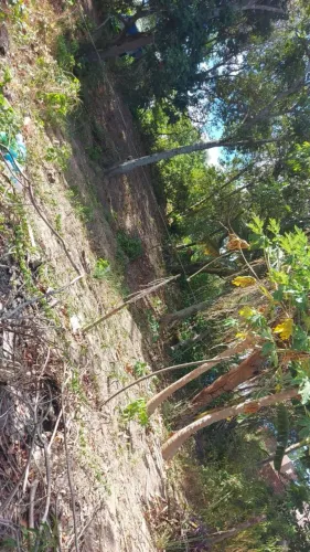Terreno em Itamaracá pra vender logo 