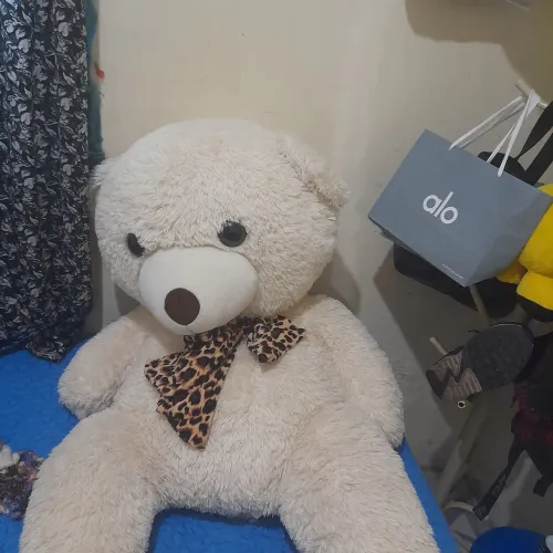 Urso super fofo branco