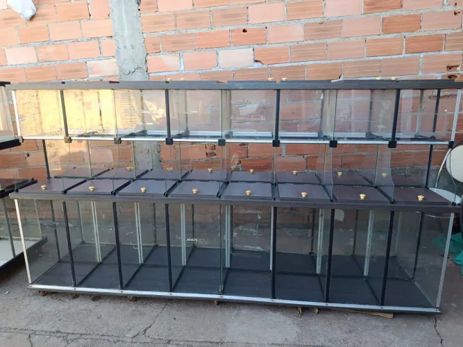 Vende-se um Petshop (equipamentos)