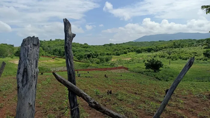 Terreno em umarizeiras- Maranguape de uma quadra. 50x50