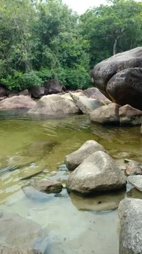TG | VENDO TERRENO DE 15 HECTARES EM MORROS