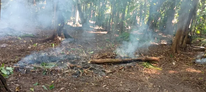 Terreno próximo anauerapucu medindo 10x50 aceito proposta tel. *01