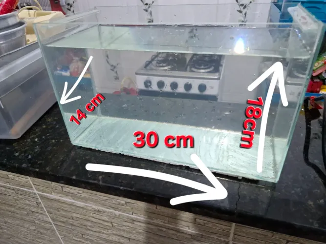 ESTÁ A VENDA AQUÁRIO 