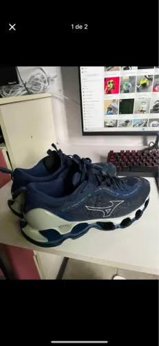 Mizuno prophecy 13
