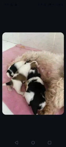 Pra doação 