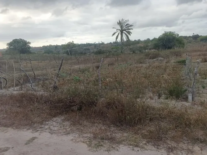 Terreno de 200m quadrado.