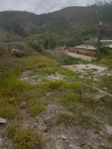 lote