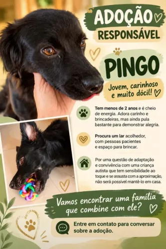DOAÇÃO