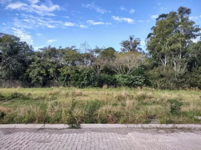 Terreno - Santa Maria RS