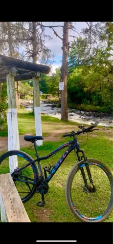 Bicicleta colli aro 29 