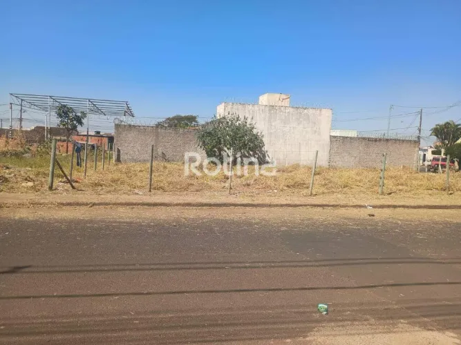 Terreno à venda, São Jorge - Uberlândia/MG - Rotina Imobiliária