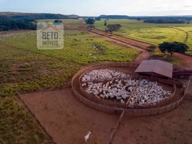 Fazenda/Sítio/Chácara para venda com 188000000 metros quadrados em Zona Rural - Goiatins -