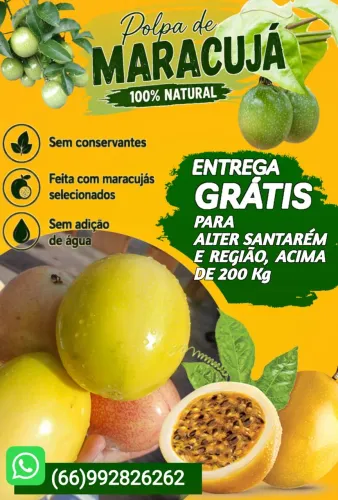 POLPAS DE MARACUJÁ 100% NATURAL